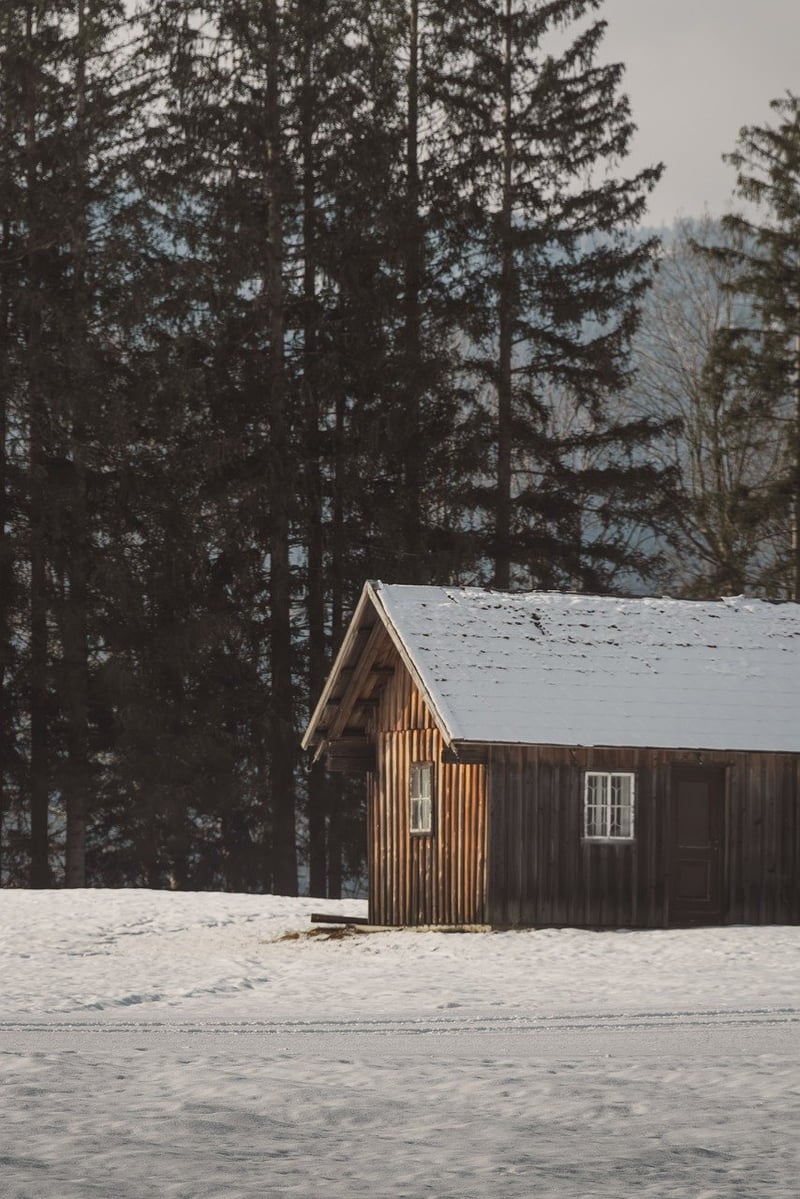 Forest Retreat