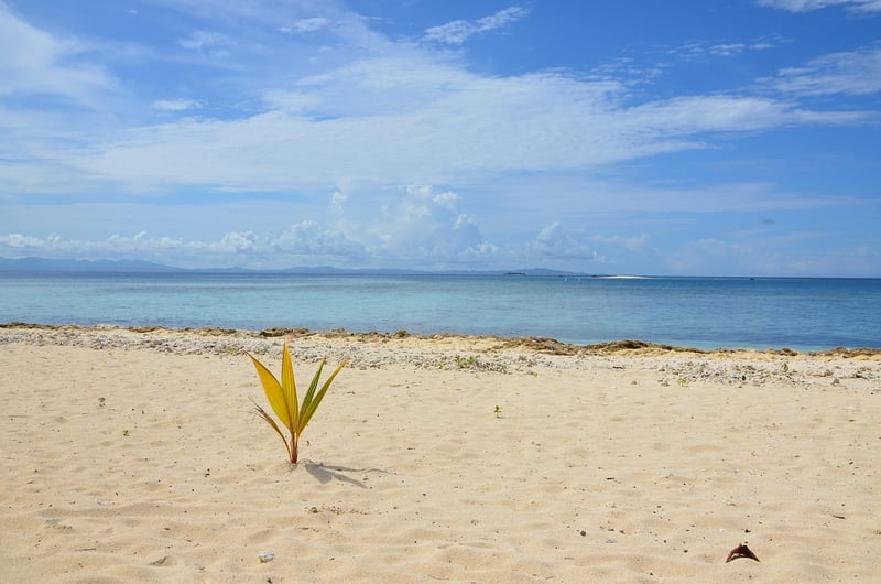 Fiji Beach